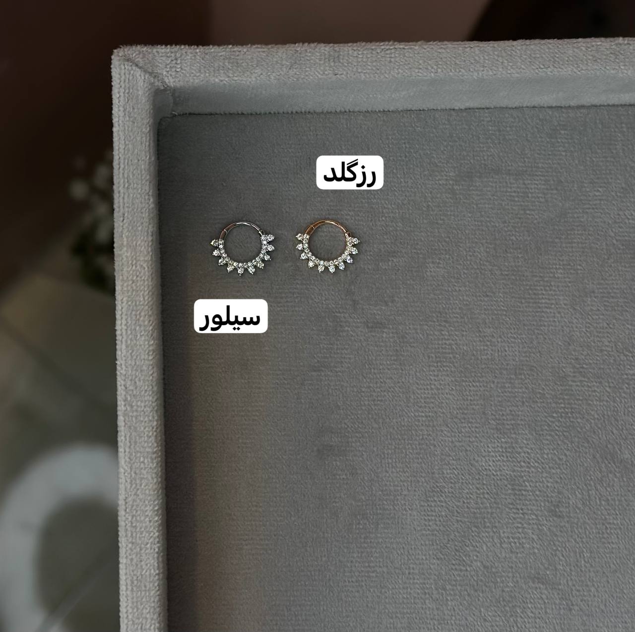 photo_2024-03-04_16-17-57