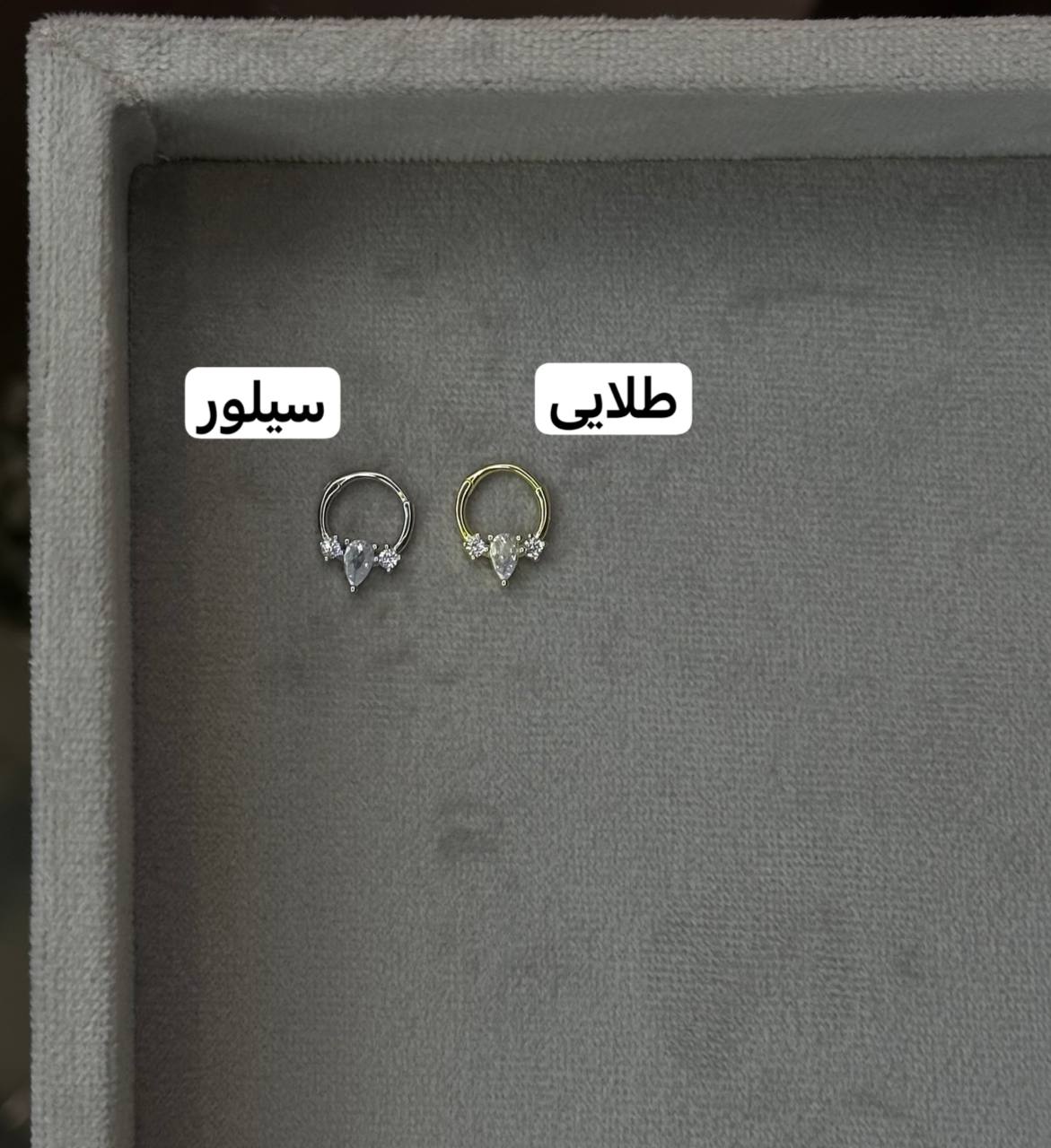 photo_2024-03-04_16-22-55