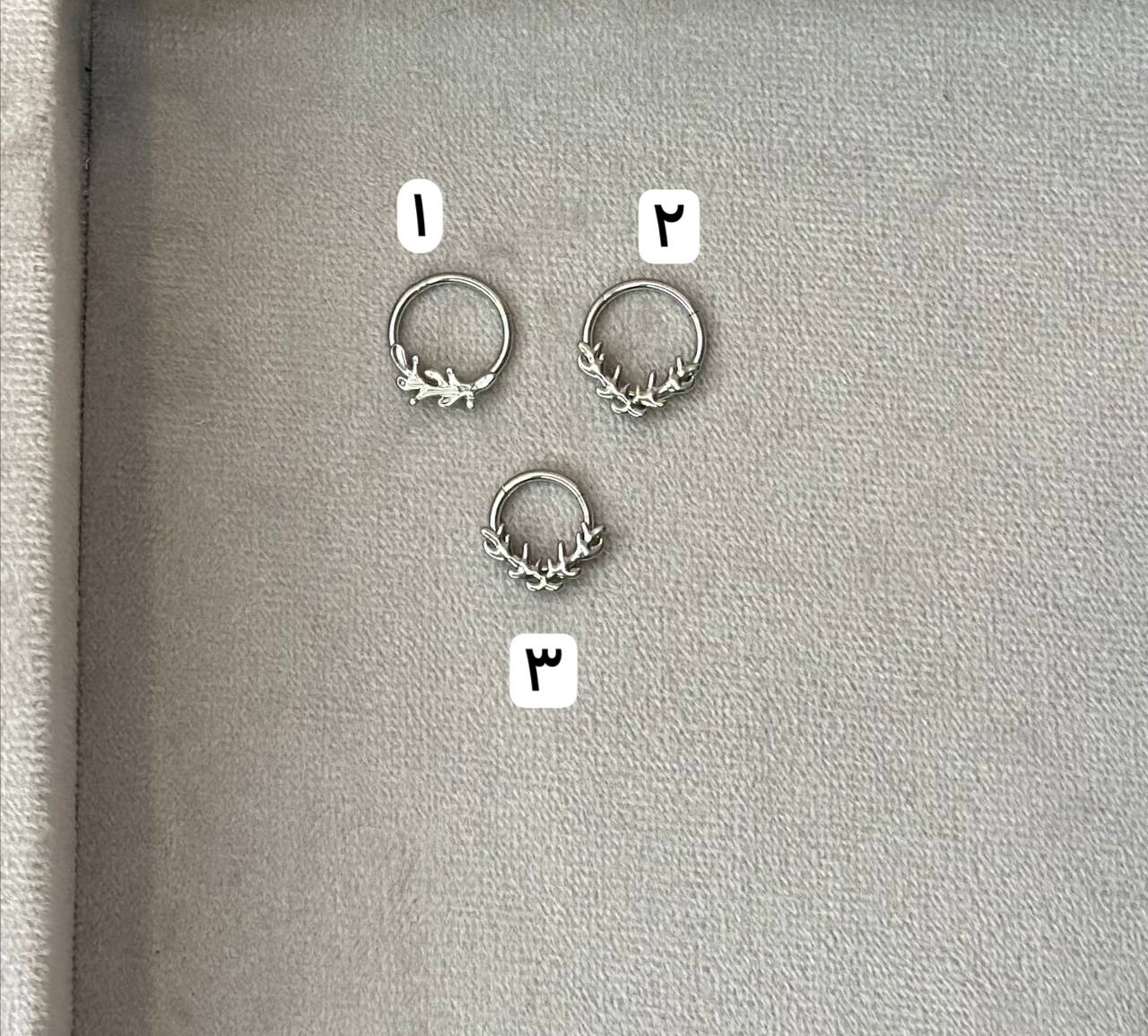 photo_2024-03-04_16-42-51